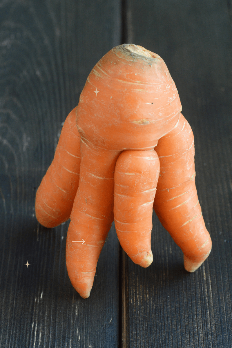 5 Easy Ways to Embrace Imperfection