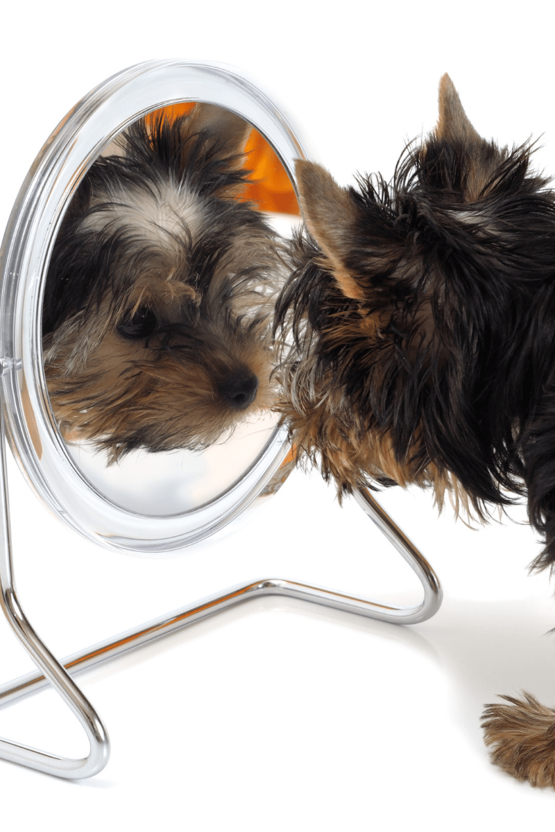 Learning Who You Are: Top 10 Questions to Ask Yourself
