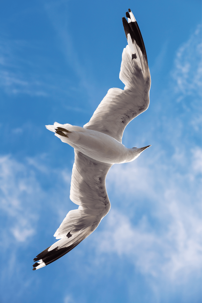 Become Limitless Through Self-Empowerment